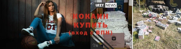 индика Белокуриха
