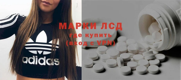 индика Белокуриха