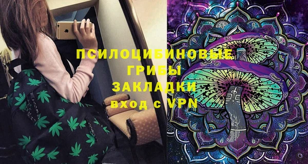 индика Белокуриха