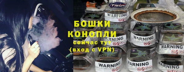 индика Белокуриха