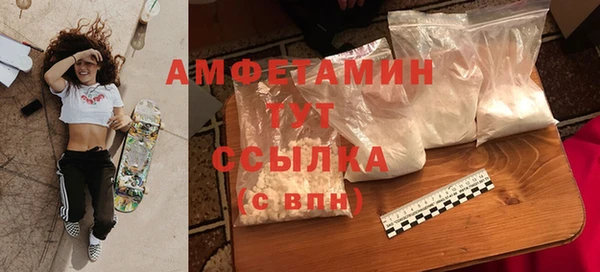 индика Белокуриха