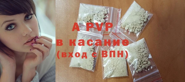 индика Белокуриха