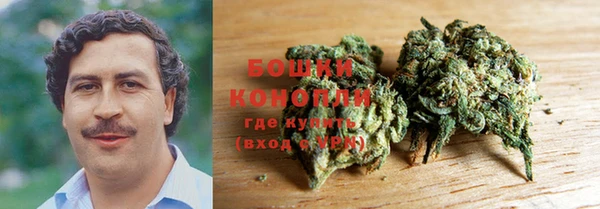 индика Белокуриха