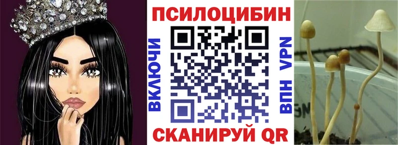 Псилоцибиновые грибы Psilocybe  Семилуки 